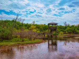 Oxford, Ct 18 Cullinan Park 1